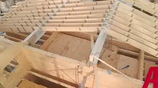 videos