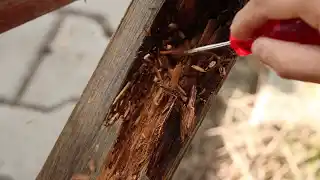 videos