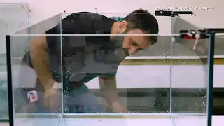 videos