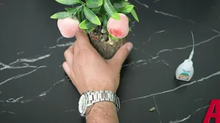 videos