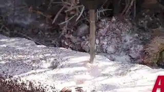 videos