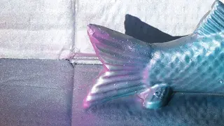 videos